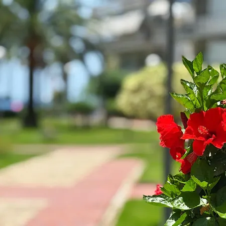 Domuum Holidays - Delfos Apartment Salou
